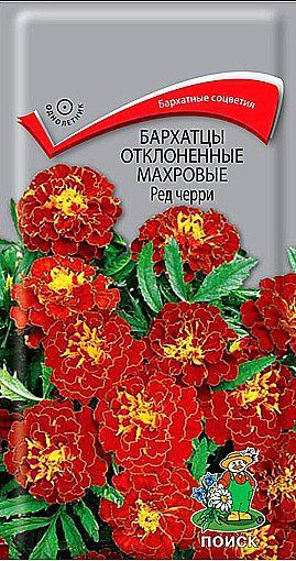 Цв.Бархатцы отклон. махровые Ред Черри Поиск 0,3г (красные с желт. каймой, 20см)