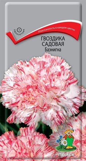 Цв.Гвоздика садовая Баэнигна Поиск 0,1 гр. (крупные махровые цветы)