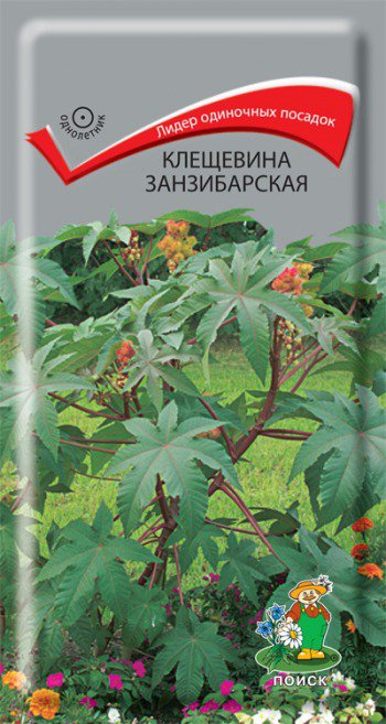 Цв.Клещевина Занзибарская Поиск 3гр (2,5м)