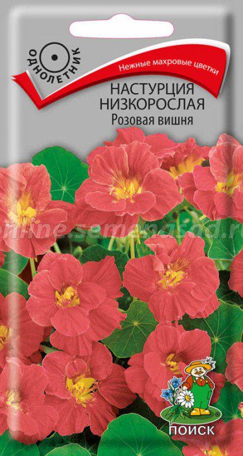 Цв.Настурция Розовая вишня низкоросл. Поиск 1г (махров.)