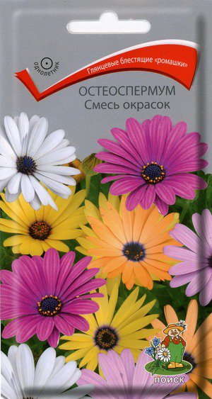 Цв.Остеоспермум Смесь окрасок Поиск 0,1гр (25см, глянцевые 