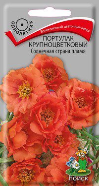 Цв.Флокс Красный бархат друмонда Сем.Алтая цв.п. 0,05 гр.