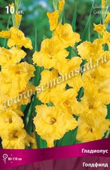 Клуб.Гладиолусы Голд Филд (желтый, слегка гофрированный) (10) цена за 1шт.
