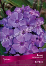 Клуб.Флокс Блу Бой (голубой)