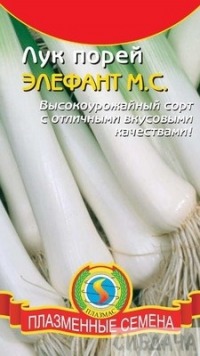Лук Порей Элефант Плазмас цв.п. 0,5гр. (среднесп., морозоустойчивый)