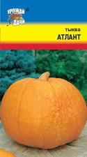 Тыква Атлант УУ цв.п. 1гр (крупный, скороспелый)