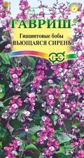 Цв.Долихос Вьющаяся сирень УД  3шт. (гиацинтовые бобы)