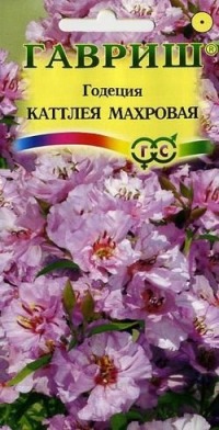 Цв.Годеция Каттлея махровая 0,1гр Гавриш нежно-лиловый