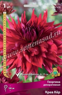 Клуб.Георгины Крев Кер (декорат., красный,  д.25см)