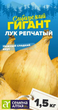 Лук репчатый Сибирский гигант Сем.Алтая  цв.п. 0,2гр