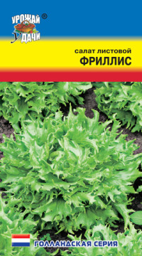 Салат Фриллис УУ цв.п. (листовой, гофрированный, отл.вкус, Голландия)