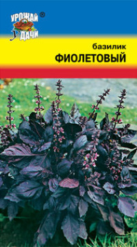 Базилик фиолетовый УУ цв.п. (ранний)