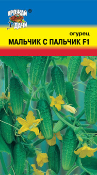 Огурец Мальчик с пальчик F1 УУ  цв.п.  (скороспел, партенокарпик, 8-10см)