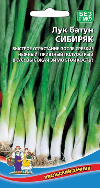 Лук Батун Сибиряк УД цв.п.