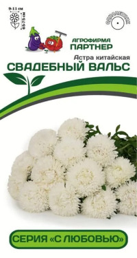 Цв.Астра китайская Свадебный вальс Партнер цв.п. 5шт.(густомахр., шаровидная, белая, выс. 75см)