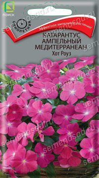 Цв.Катарантус ампельный Медитерранеан Хот Роуз Поиск 10шт.