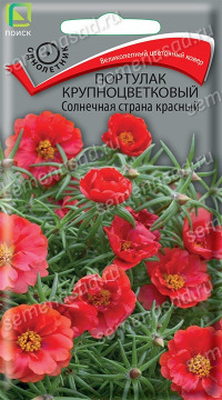Цв.Портулак крупноцветковый Солнечный страна Красный Поиск 0,1гр (махровый, 10см)
