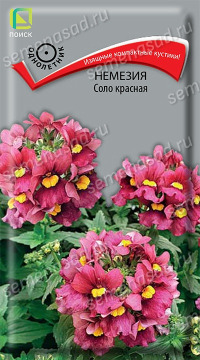 Цв.Немезия Соло красная Поиск 0,05гр