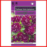 Цв.Астра Трубадур темно-пурпурныйГавриш. цв.п. 0,05 гр.(махровая,высота 50 см.,6-8 цветоносов)