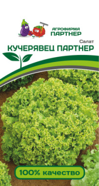 Салат Кучерявец Партнер  цв.п. 1гр  (среднесп.,сочный)