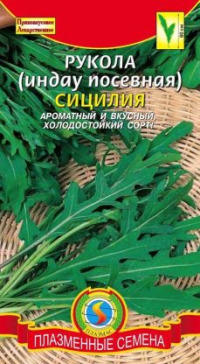 Салат Рукола Сицилия Плазмас цв.п.
