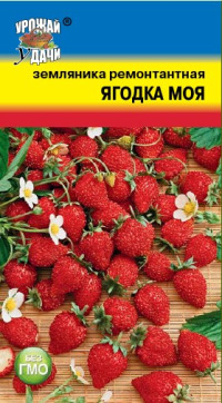 Земляника Ягодка Моя УУ цв.п. (ремонтантный, зимостойкий, крупноплод.)