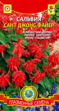 Цв.Сальвия Сант Джонс Файер Плазмас (ярко-алый, 25см)