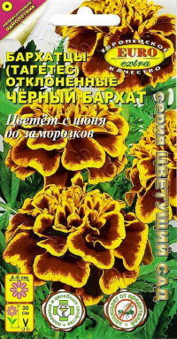 Цв.Бархатцы отклон. махровые Черный бархат Аэлита  0,1гр (темно-коричн.с желтой каймой)