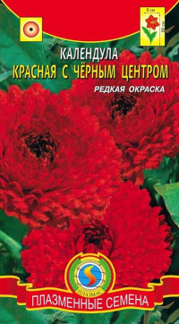 Цв.Календула махровая Красная с черным центром Плазмас цв.п.