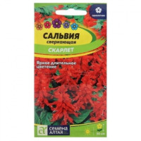 Цв.Сальвия сверкающая Скарлет Семена Алтая 0,1гр (красная, 20-30см)