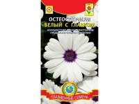 Цв.Остеоспермум Белый с глазком Плазмас