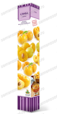 Куст.Слива русская (Алыча) Царская (ранний,желтый)