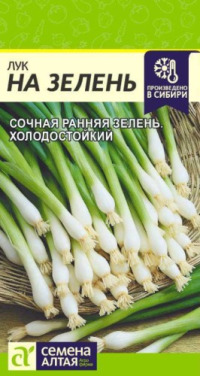 Лук На Зелень Сем.Алтая цв.п. 0,5гр (урожай на окне)