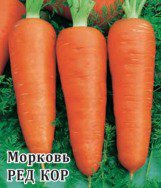 Морковь Лента Алтайская сахарная УД  8м