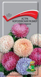 Цв.Астра Королевский размер Смесь окрасок  Поиск  0,1г