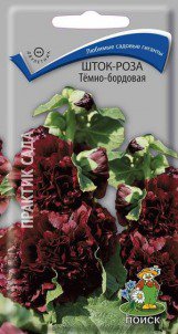Цв.Шток-роза Темно-бордовая  Поиск 0,1 гр
