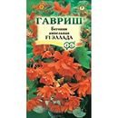 Цв.Бегония Этерна Ред Поиск цв.п. 10 шт.(вечноцветущая,зеленолистная красная с желтым дном