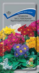 Цв.Примула бесстебельная Крупноцвет.смесь Поиск (многол.) 0,04г