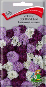 Цв.Иберис зонтичный Ежевичные меренги Поиск 0,1гр (бело-фиол.-пурпур. смесь, 30см)