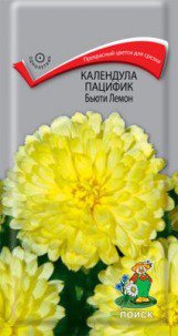 Цв.Календула пацифик Бьюти Лемон Поиск 1гр (махровые нежно-лимонные цветки диам. до 9см)