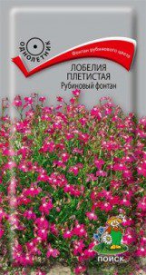 Цв.Лобелия Фонтан Рубиновый плетистая Поиск 0,1гр (30см)
