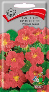 Цв.Настурция Розовая вишня низкоросл. Поиск 1г (махров.)