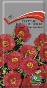 Цв.Циния Захара Дабл Брайт Оранж Поиск 5шт. (семена Профи)
