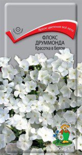 Цв.Флокс Красотка в белом друммонда Поиск 0,1гр (до 25см)