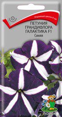 Цв.Петуния Галактика F1 Синяя (грандифлора, фиолетово-синяя с белой звездой) Поиск 10шт