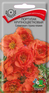 Цв.Флокс Красный бархат друмонда Сем.Алтая цв.п. 0,05 гр.