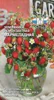 Земляника Мармеладная Седек цв.п 0,04гр - уменьшеная