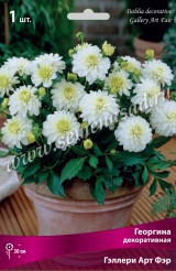 Клуб.Георгины Гэллери Арт Фэр (декорат.,белый с кремово-салат. центром, д.15см, выс.30см) - уменьшеная