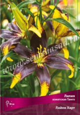 Клуб.Лилии азиат. Лайон Харт (танго, желтый с черно-лиловым пятном)  (2)  цена за 1шт. - уменьшеная