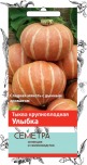 Тыква Улыбка Поиск (Семетра)  цв.п 10шт (раннесп.,кустовой, засухоуст.) - уменьшеная